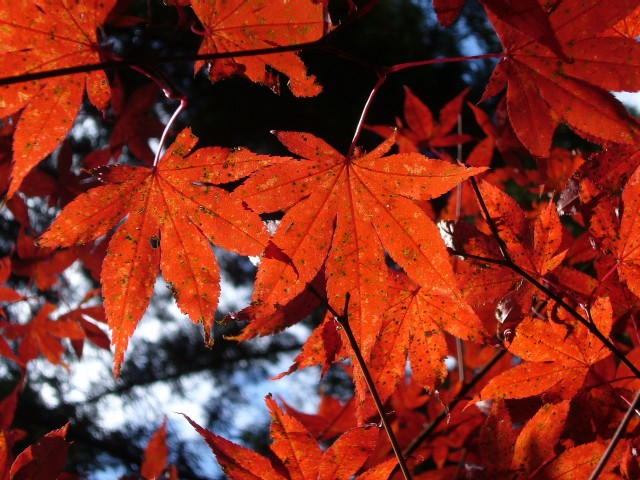 f0091250_22541261.jpg