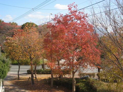 a0090451_21222596.jpg