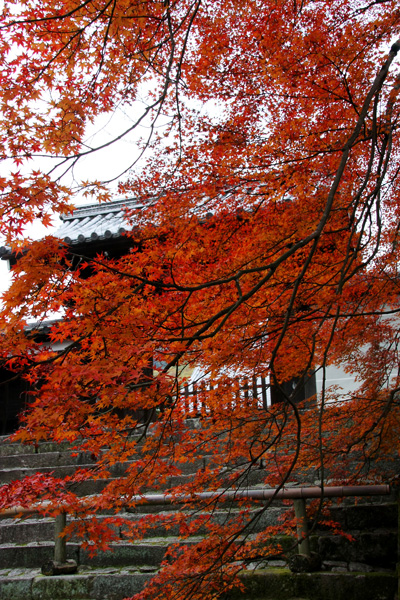 e0122855_015073.jpg