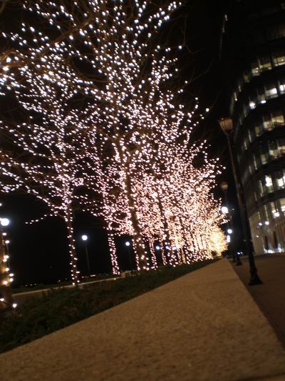 b0046462_227677.jpg