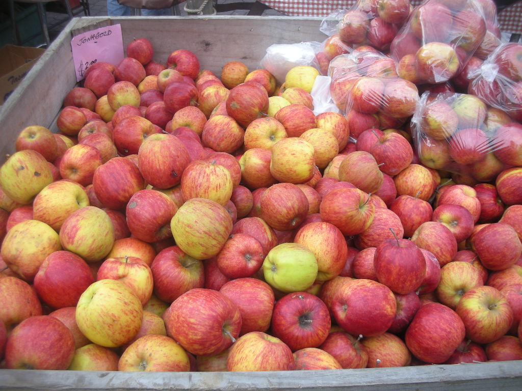 c0148362_2327576.jpg