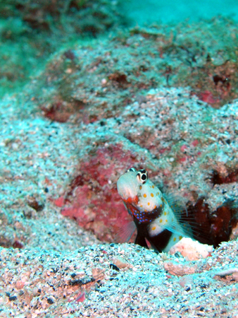 b0062363_20455620.jpg