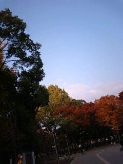 c0032863_21484024.jpg