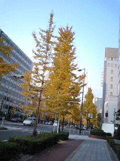 c0032863_2152336.jpg
