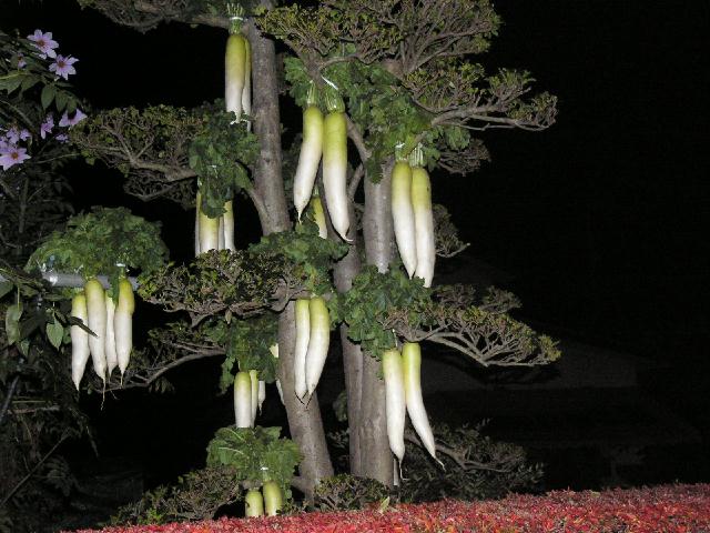 b0024266_0323660.jpg