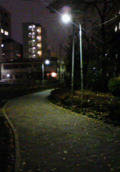 a0095069_2336558.jpg
