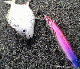 a0096669_20452155.gif