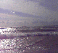 a0096669_2135356.gif
