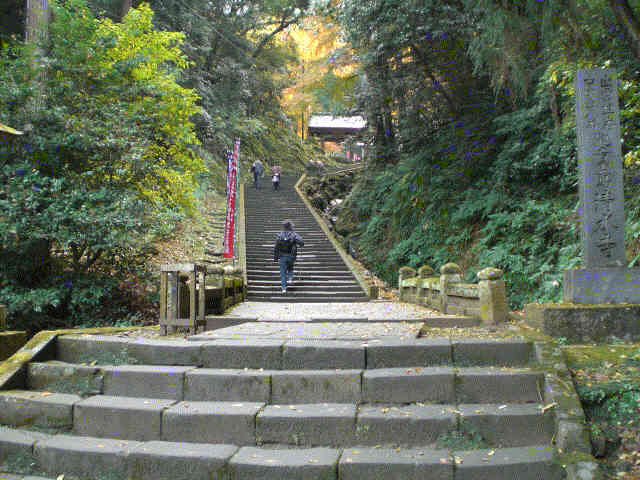 f0153475_6592474.jpg