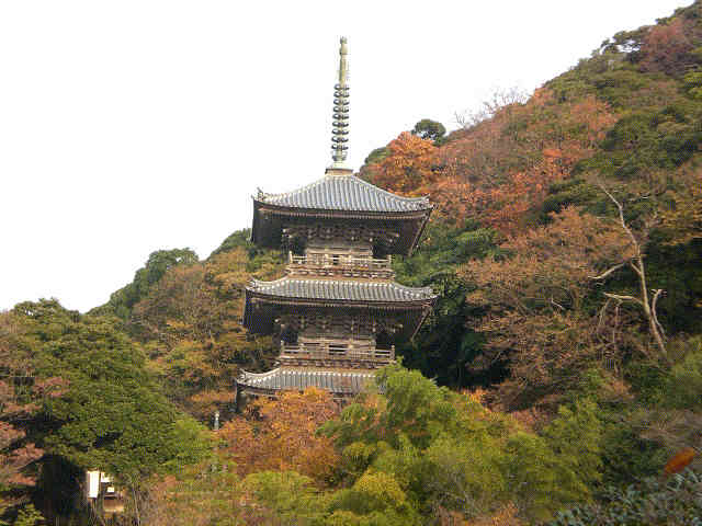f0153475_7181098.jpg