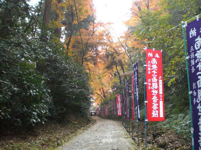 f0153475_72311.jpg