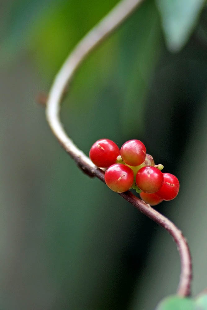 a0083081_17415661.jpg