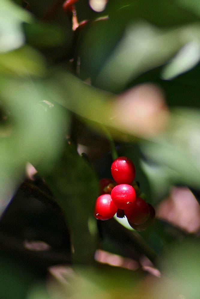 a0083081_17423987.jpg
