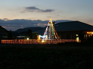 d0114583_8473339.jpg
