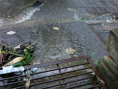 b0101284_2013193.jpg