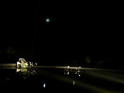 b0101284_20353244.jpg