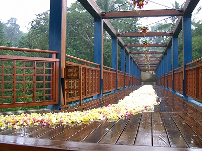 b0101284_2073093.jpg