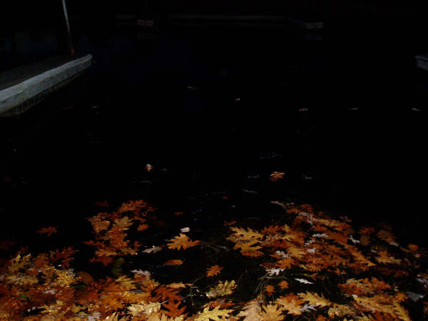 f0024887_1335240.jpg