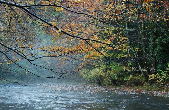 c0134295_0495412.jpg