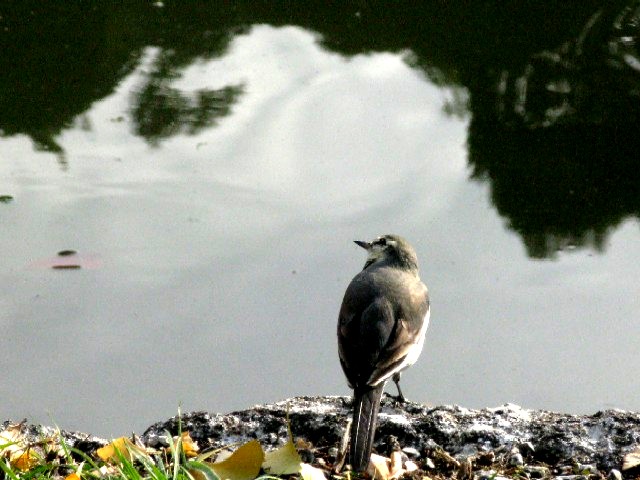 d0010496_16591134.jpg