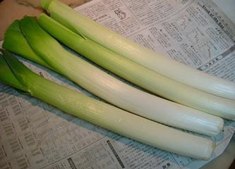 f0117996_2130524.jpg