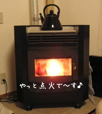 f0068501_238951.jpg