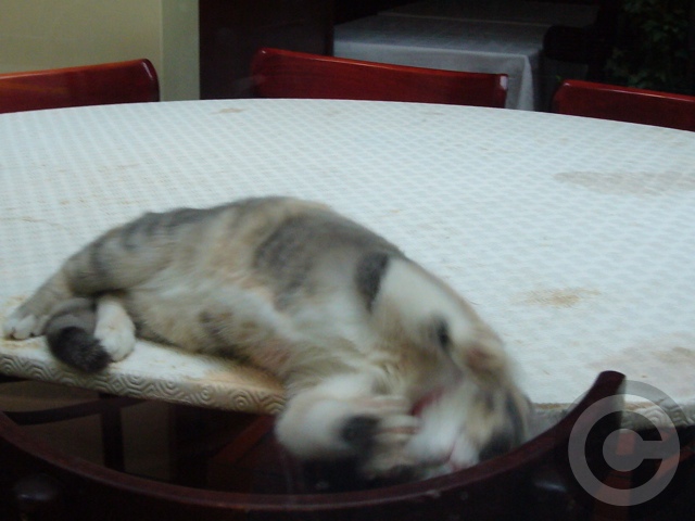 a0008105_1033377.jpg