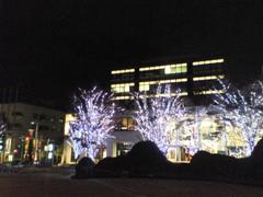 c0130205_1964569.jpg