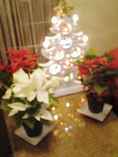 a0088007_1331392.jpg