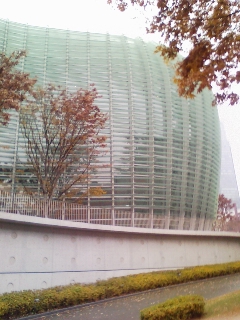 a0048609_447124.jpg