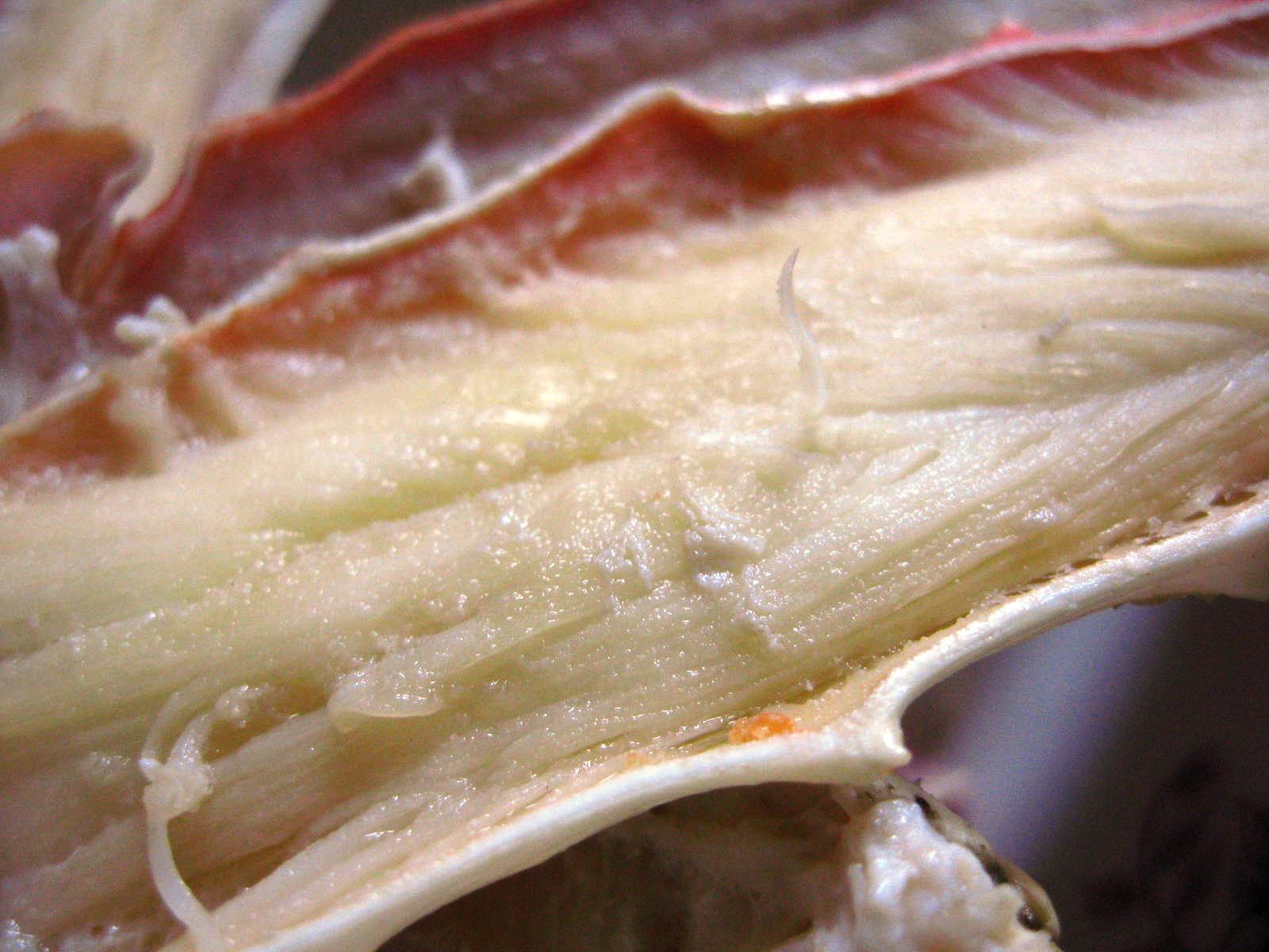 f0017712_20134975.jpg