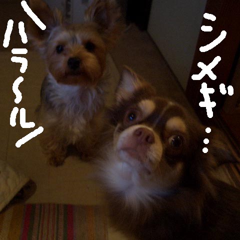 c0036617_18422386.jpg