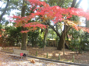 c0111017_2022463.jpg