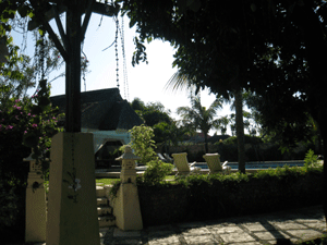 d0038319_23445467.gif