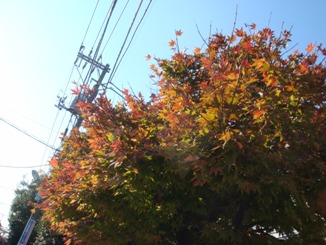 a0036626_21332112.jpg