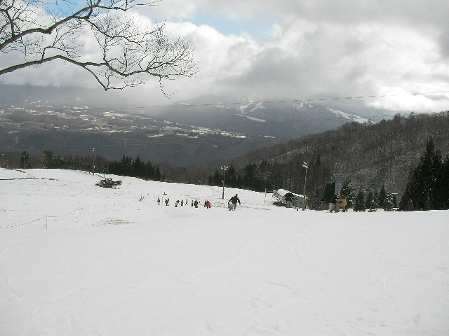 e0089227_2284923.jpg