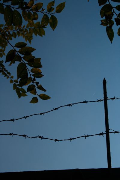 c0136933_222872.jpg
