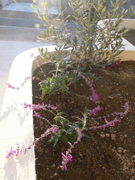 f0061334_2129632.jpg