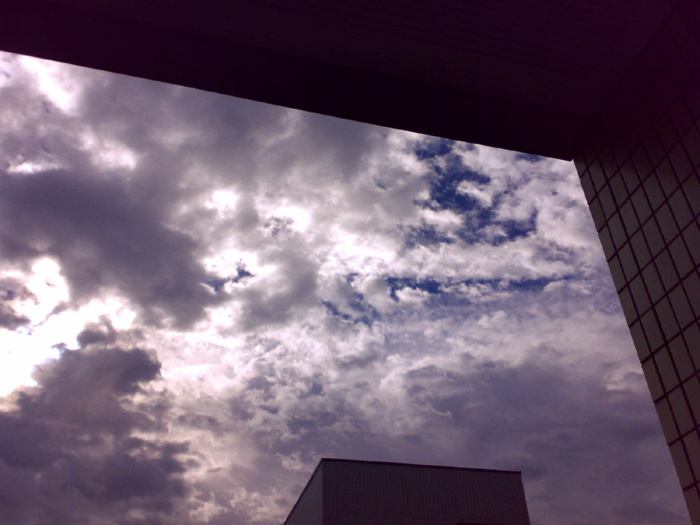 f0134737_013322.jpg