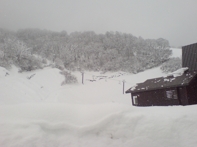 c0054838_17292071.jpg