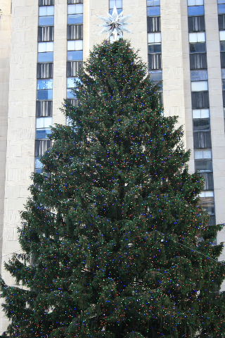 f0153339_1126421.jpg