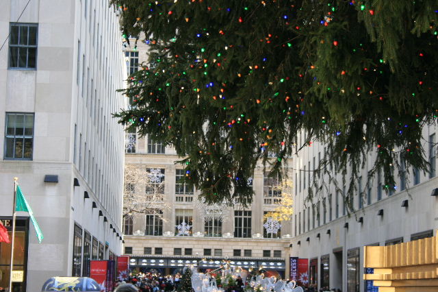 f0153339_11292047.jpg