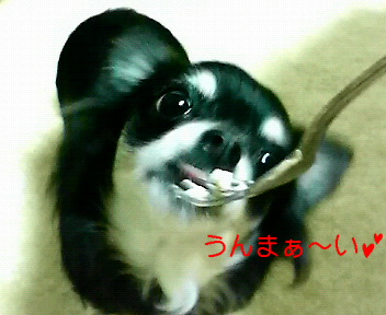 c0121141_129272.jpg