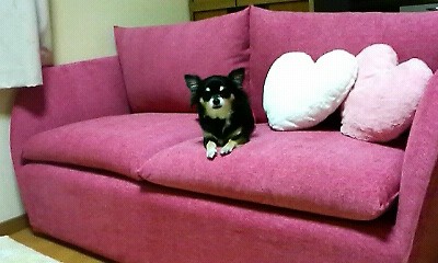 c0121141_131755.jpg