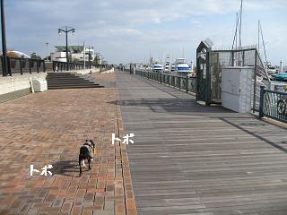 e0126046_17524211.jpg