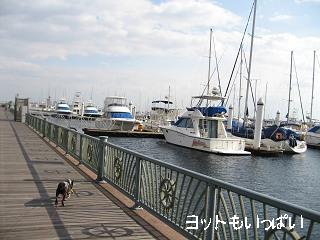 e0126046_17531360.jpg