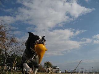 e0126046_17544115.jpg