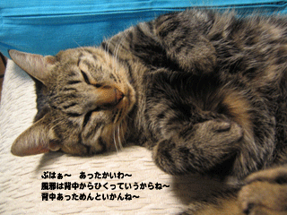 f0116546_1924372.gif
