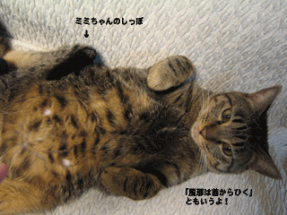 f0116546_19245418.gif
