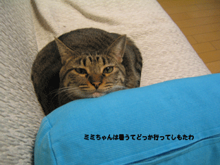 f0116546_19254149.gif
